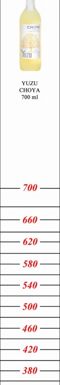 1009
