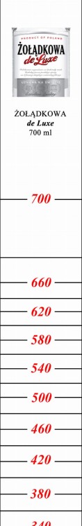 1019