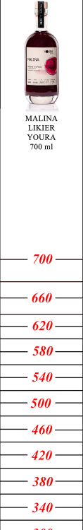 1131