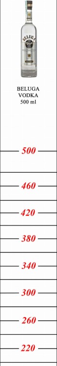 304