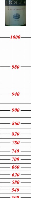 449